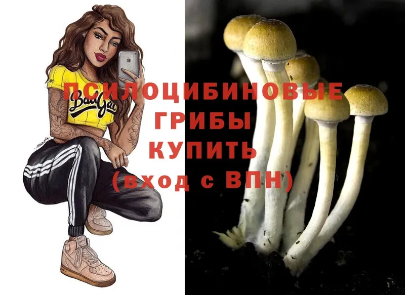 Галлюциногенные грибы MAGIC MUSHROOMS  как найти закладки  нарко площадка наркотические препараты  Коркино 